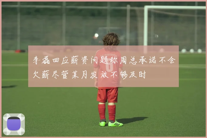 李磊回应薪资问题称周总承诺不会欠薪尽管某月发放不够及时