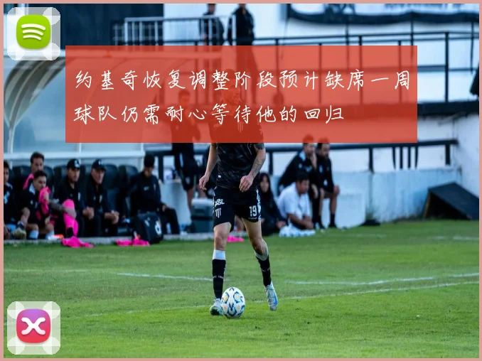 约基奇恢复调整阶段预计缺席一周球队仍需耐心等待他的回归